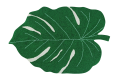 Dywan LIŚĆ 120x160 cm - MONSTERA Leaf - Zdjęcie 3