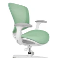 Ergonomiczne krzesło do biurka dla dziecka zielone XD SPC fotel z siateczką z regulacją - Zdjęcie 3